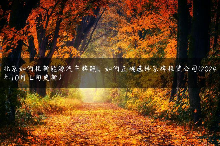 北京如何租新能源汽车牌照、如何正确选择京牌租赁公司(2024年10月上旬更新）