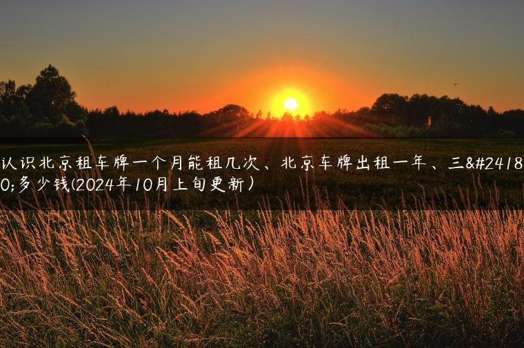 认识北京租车牌一个月能租几次、北京车牌出租一年、三年多少钱(2024年10月上旬更新）-金牌车友
