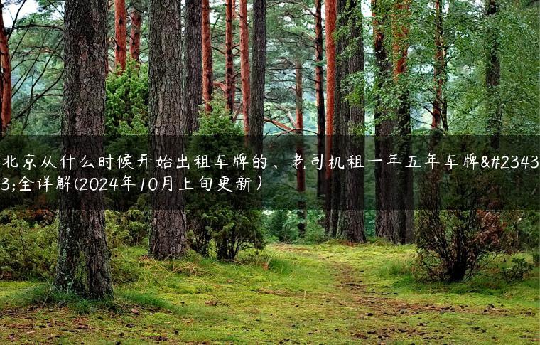 北京从什么时候开始出租车牌的、老司机租一年五年车牌安全详解(2024年10月上旬更新）