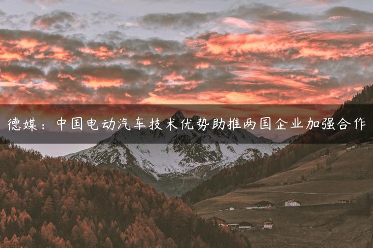 德媒：中国电动汽车技术优势助推两国企业加强合作