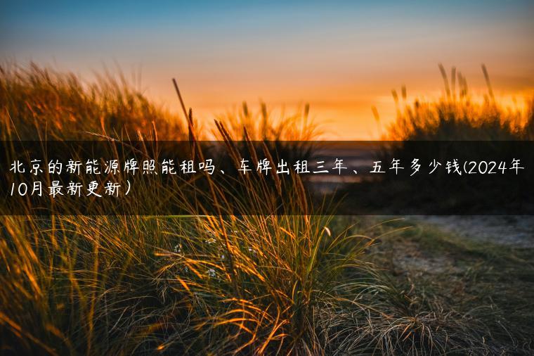 北京的新能源牌照能租吗、车牌出租三年、五年多少钱(2024年10月最新更新）