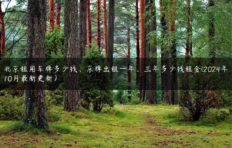 北京租用车牌多少钱、京牌出租一年、三年多少钱租金(2024年10月最新更新）