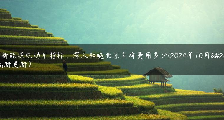 租新能源电动车指标、深入知晓北京车牌费用多少(2024年10月最新更新）