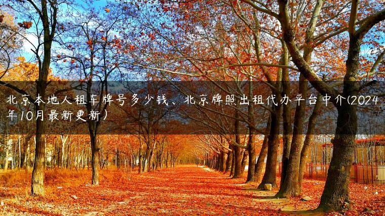 北京本地人租车牌号多少钱、北京牌照出租代办平台中介(2024年10月最新更新）