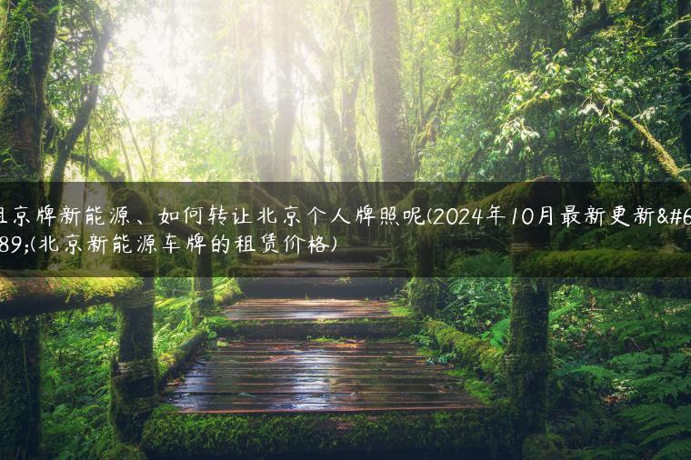 租京牌新能源、如何转让北京个人牌照呢(2024年10月最新更新）(北京新能源车牌的租赁价格)