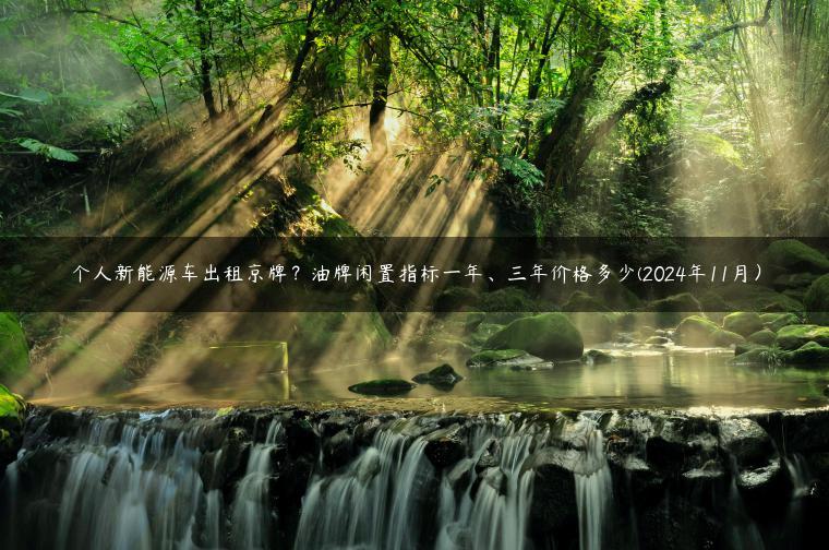 个人新能源车出租京牌？油牌闲置指标一年、三年价格多少(2024年11月）