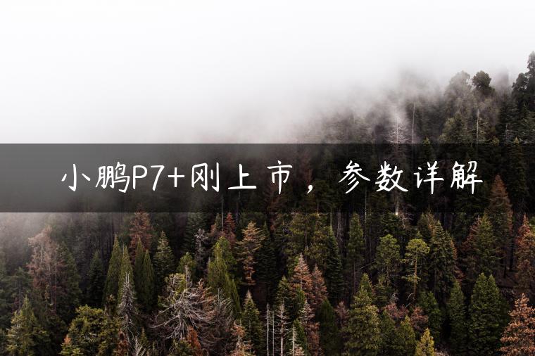 小鹏P7+刚上市，参数详解