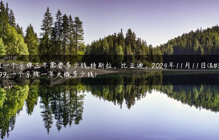 租一个京牌三年需要多少钱,特斯拉，比亚迪，2024年11月11日(租一个京牌一年大概多少钱)