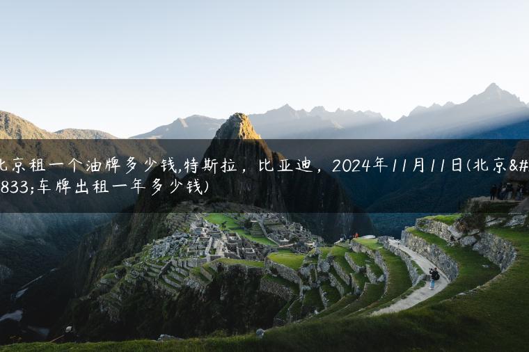 北京租一个油牌多少钱,特斯拉，比亚迪，2024年11月11日(北京油车牌出租一年多少钱)