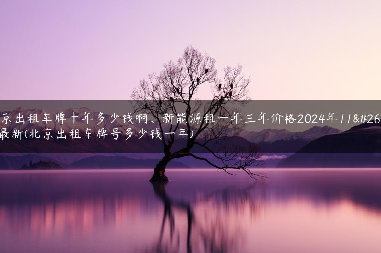 北京出租车牌十年多少钱啊、新能源租一年三年价格2024年11月最新(北京出租车牌号多少钱一年)