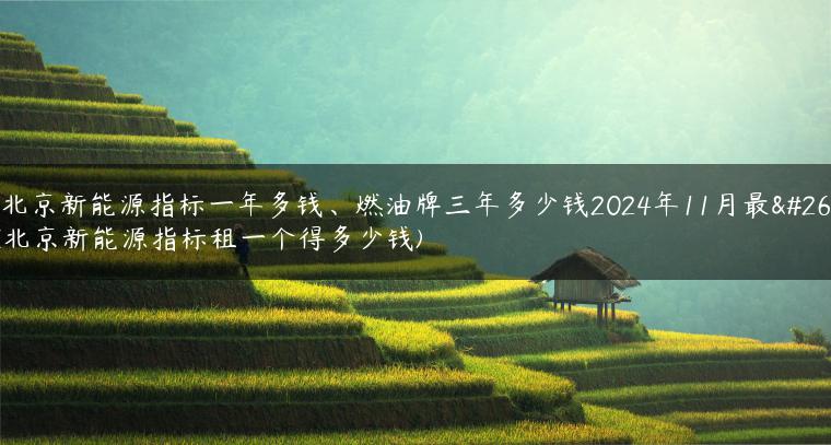 租北京新能源指标一年多钱、燃油牌三年多少钱2024年11月最新(北京新能源指标租一个得多少钱)