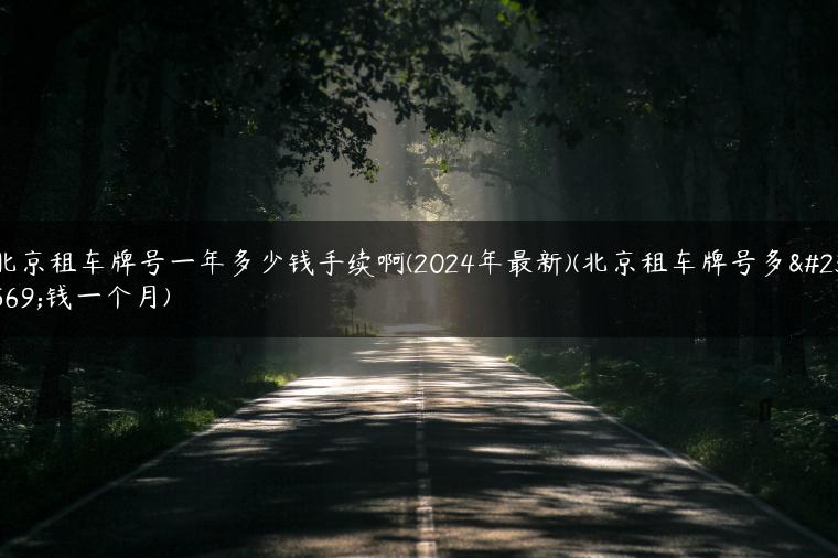 北京租车牌号一年多少钱手续啊(2024年最新)(北京租车牌号多少钱一个月)