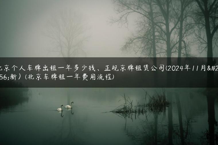 北京个人车牌出租一年多少钱、正规京牌租赁公司(2024年11月更新）(北京车牌租一年费用流程)