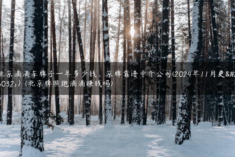 北京滴滴车牌子一年多少钱、京牌靠谱中介公司(2024年11月更新）(北京牌照跑滴滴赚钱吗)