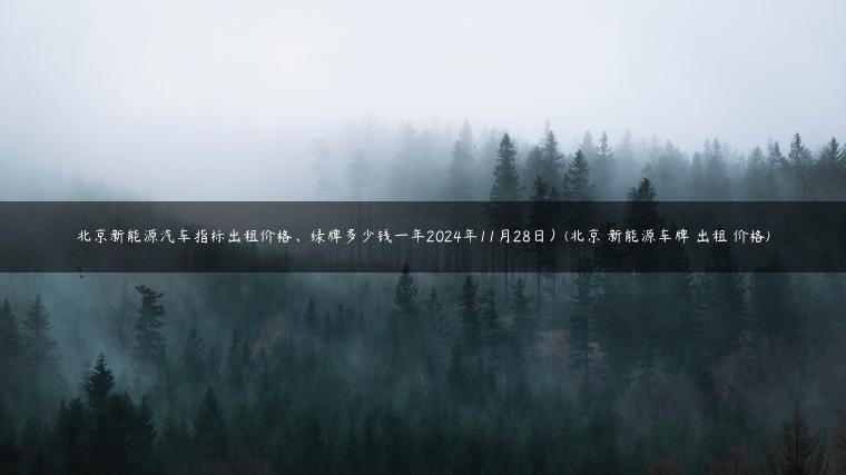 北京新能源汽车指标出租价格、绿牌多少钱一年2024年11月28日）(北京 新能源车牌 出租 价格)