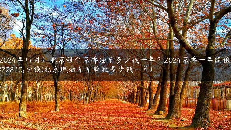 (2024年11月）北京租个京牌油车多少钱一年？2024京牌一年能租多少钱(北京燃油车车牌租多少钱一年)