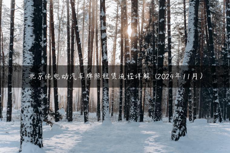 北京纯电动汽车牌照租赁流程详解  (2024年11月）