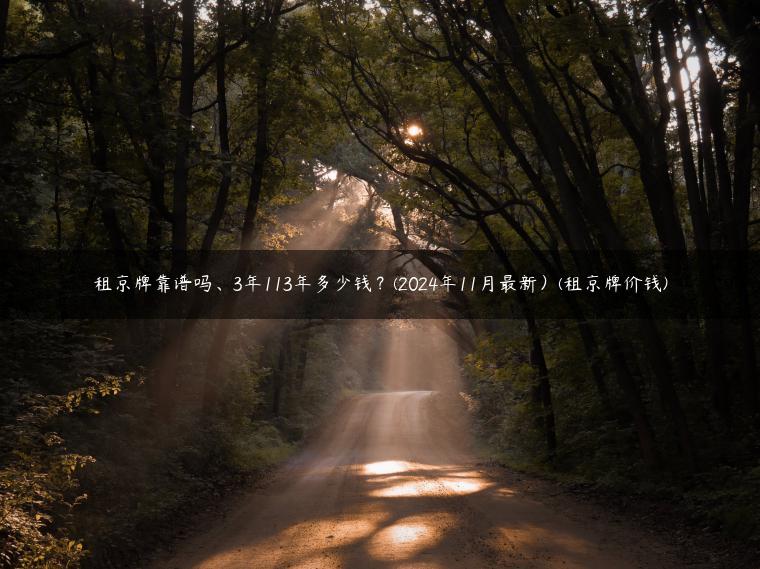 租京牌靠谱吗、3年113年多少钱？(2024年11月最新）(租京牌价钱)