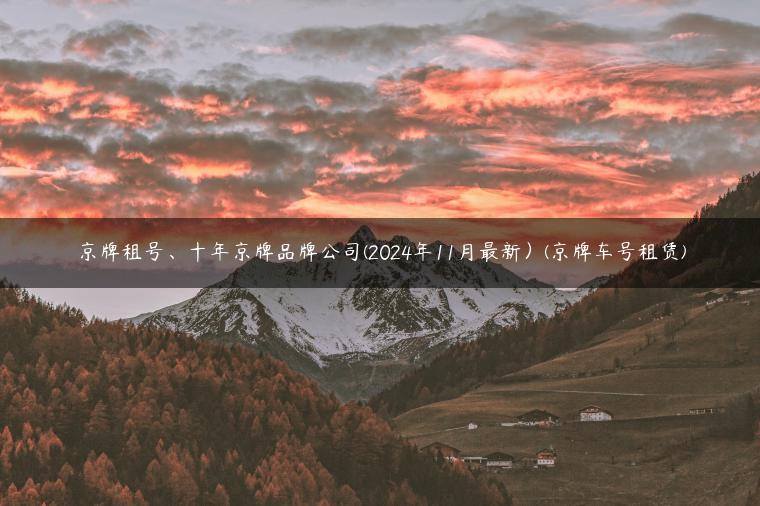 京牌租号、十年京牌品牌公司(2024年11月最新）(京牌车号租赁)