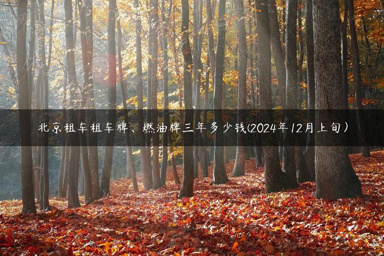 北京租车租车牌、燃油牌三年多少钱(2024年12月上旬）