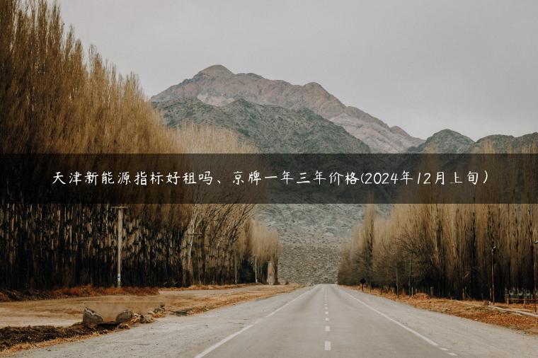天津新能源指标好租吗、京牌一年三年价格(2024年12月上旬）