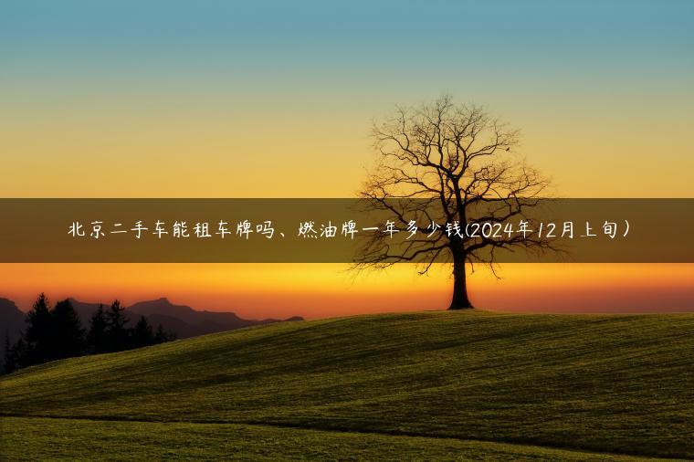 北京二手车能租车牌吗、燃油牌一年多少钱(2024年12月上旬）