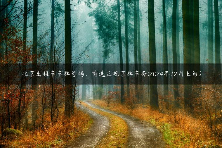 北京出租车车牌号码、首选正规京牌车务(2024年12月上旬）