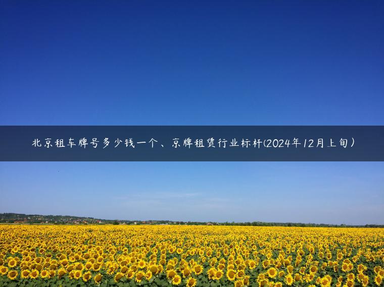 北京租车牌号多少钱一个、京牌租赁行业标杆(2024年12月上旬）