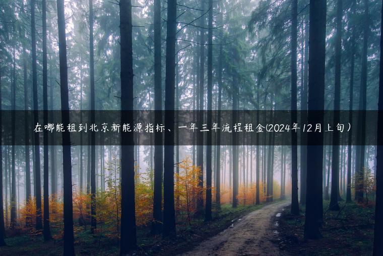 在哪能租到北京新能源指标、一年三年流程租金(2024年12月上旬）