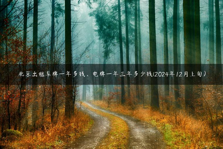 北京出租车牌一年多钱、电牌一年三年多少钱(2024年12月上旬）