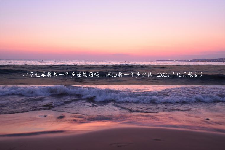 北京租车牌号一年多还能用吗、燃油牌一年多少钱  (2024年12月最新）
