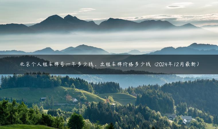 北京个人租车牌号一年多少钱、出租车牌价格多少钱  (2024年12月最新）