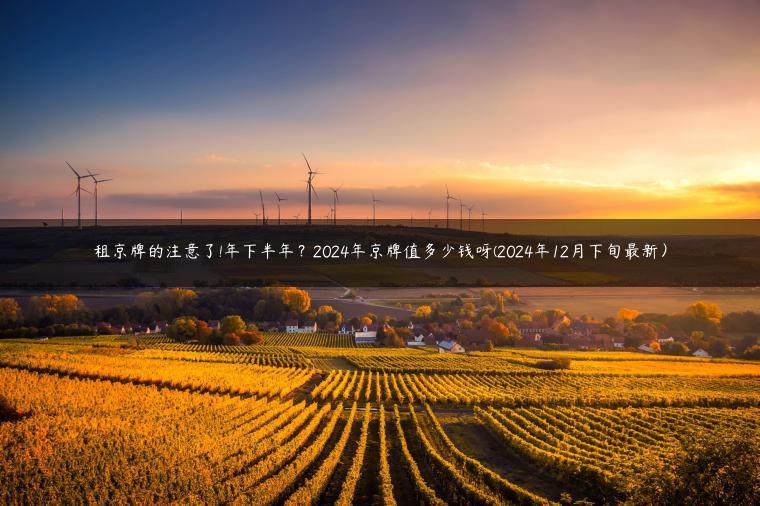 租京牌的注意了!年下半年？2024年京牌值多少钱呀(2024年12月下旬最新）-金牌车友