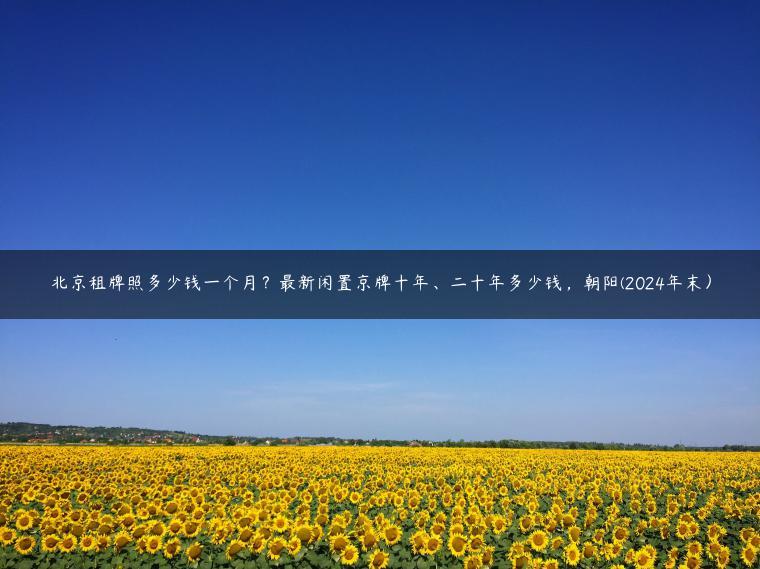 北京租牌照多少钱一个月？最新闲置京牌十年、二十年多少钱，朝阳(2024年末）