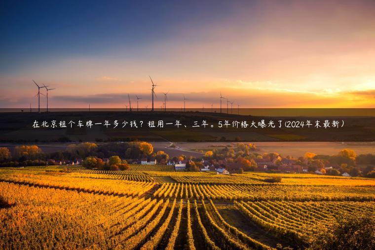 在北京租个车牌一年多少钱？租用一年、三年。5年价格大曝光了(2024年末最新）