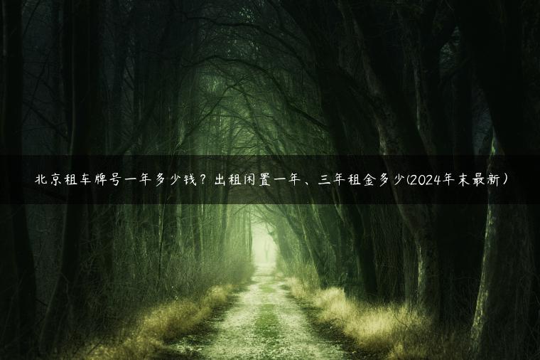 北京租车牌号一年多少钱？出租闲置一年、三年租金多少(2024年末最新）