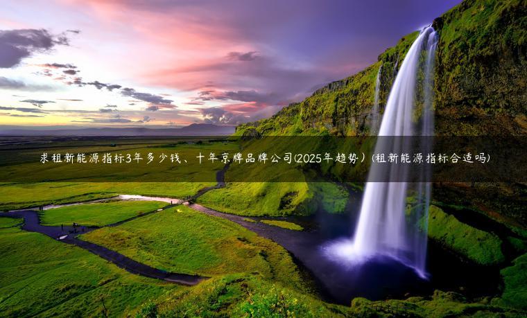 求租新能源指标3年多少钱、十年京牌品牌公司(2025年趋势）(租新能源指标合适吗)