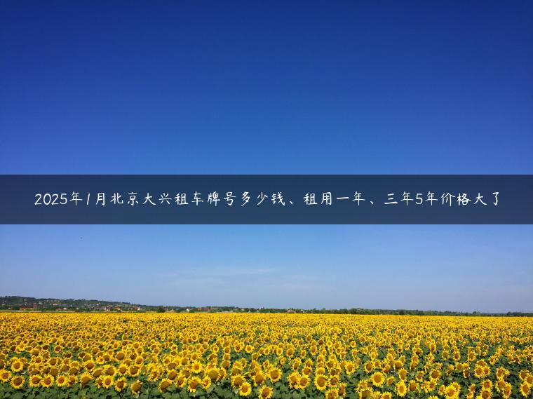 2025年1月北京大兴租车牌号多少钱、租用一年、三年5年价格大了