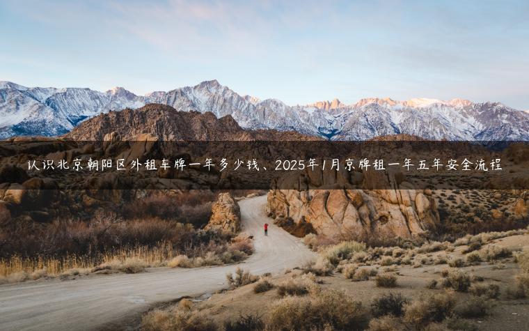 认识北京朝阳区外租车牌一年多少钱、2025年1月京牌租一年五年安全流程