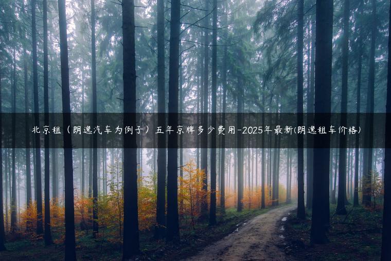 北京租（朗逸汽车为例子）五年京牌多少费用-2025年最新(朗逸租车价格)