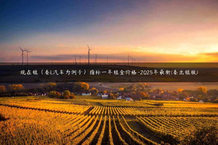现在租（秦L汽车为例子）指标一年租金价格-2025年最新(秦出租版)