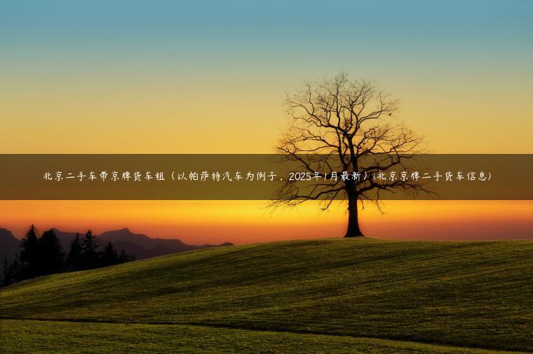 北京二手车带京牌货车租（以帕萨特汽车为例子，2025年1月最新）(北京京牌二手货车信息)