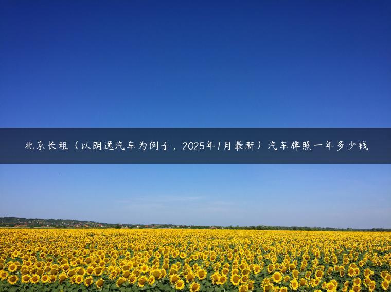 北京长租（以朗逸汽车为例子，2025年1月最新）汽车牌照一年多少钱