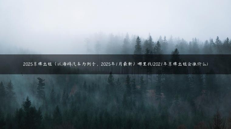 2025京牌出租（以海鸥汽车为例子，2025年1月最新）哪里找(2021年京牌出租会涨价么)