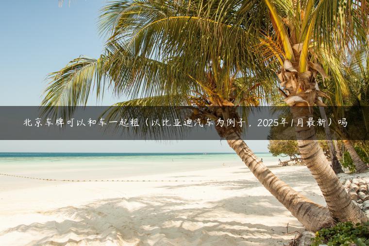 北京车牌可以和车一起租（以比亚迪汽车为例子，2025年1月最新）吗