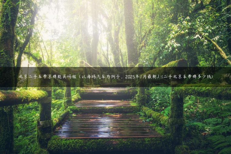 北京二手车带京牌能买吗租（以海鸥汽车为例子，2025年1月最新）(二手北京车带牌多少钱)