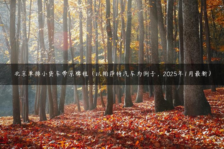 北京单排小货车带京牌租（以帕萨特汽车为例子，2025年1月最新）
