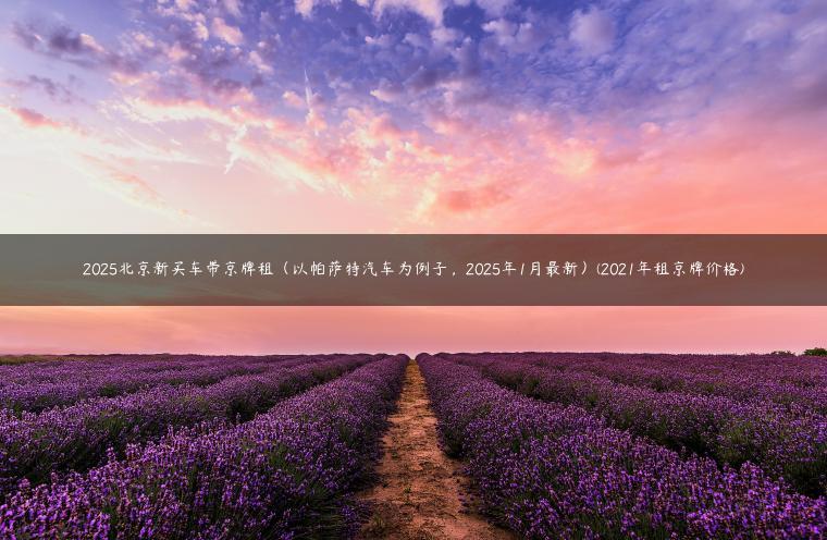 2025北京新买车带京牌租（以帕萨特汽车为例子，2025年1月最新）(2021年租京牌价格)