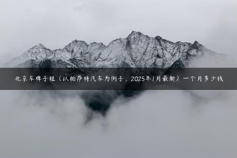 北京车牌子租（以帕萨特汽车为例子，2025年1月最新）一个月多少钱