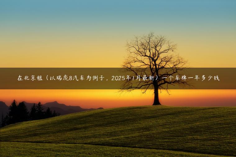 在北京租（以瑞虎8汽车为例子，2025年1月最新）一个车牌一年多少钱